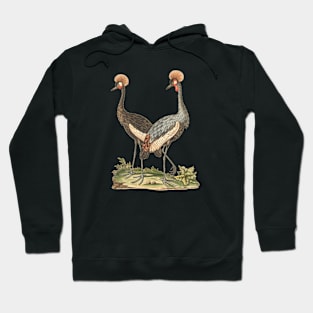 Wildlife Birds Illustration of Crowned African Crane Hoodie